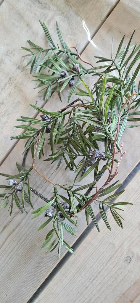 Kunst olijf slinger mooi in landelijk interieur, Ophalen of Verzenden, Halfschaduw, Minder dan 100 cm