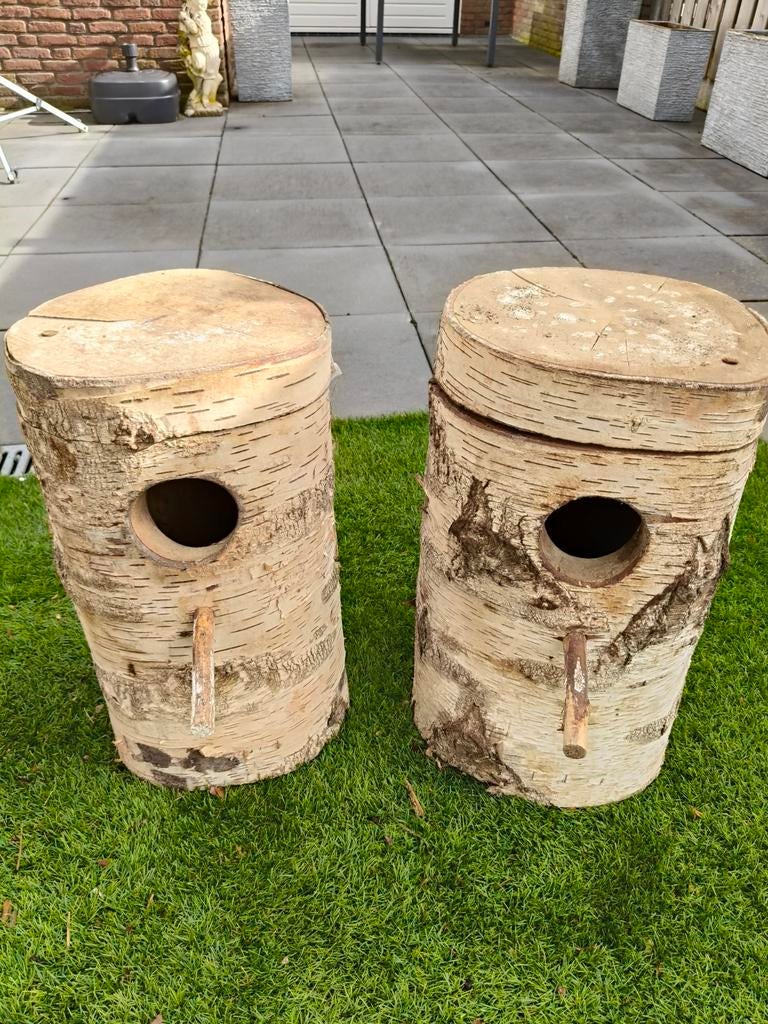 Natuur broed blokken berken, Dieren en Toebehoren, Vogels | Parkieten en Papegaaien, Meerdere dieren, Parkiet