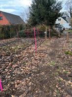 weide afrastering, Weidegang