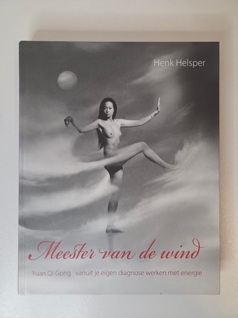 Meester van de Wind | Henk Helsper| Vanuit je eigen diagnose, Henk Helsper, Ophalen of Verzenden, Zo goed als nieuw, Overige onderwerpen