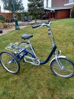,VAN RAAM, driewielfiets  . Alles werkt goed, Fietsen en Brommers, Fietsen | Driewielfietsen, Ophalen, Zo goed als nieuw