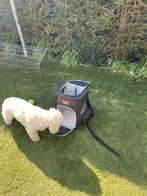 Huisdier Rugzak, Dieren en Toebehoren, Ophalen of Verzenden, Zo goed als nieuw