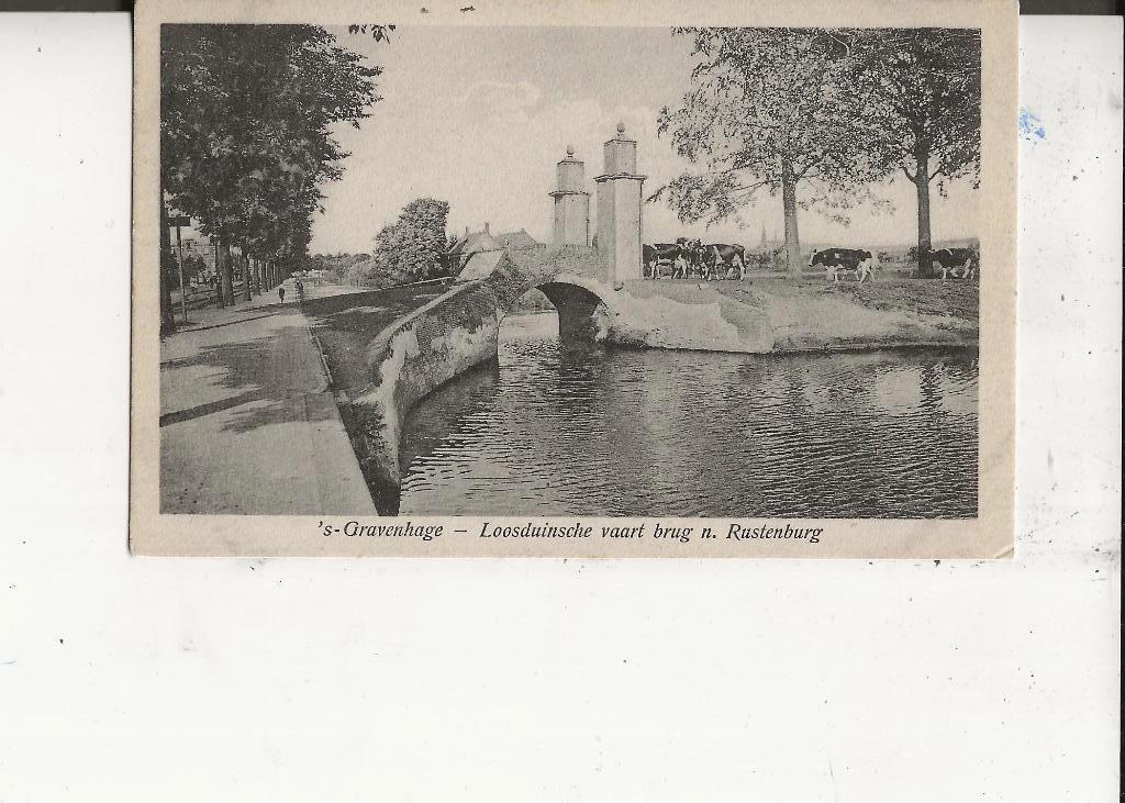 Loosduinen Loosduinsche Vaart brug bij Rustenburg met koeien, Verzamelen, Ophalen of Verzenden, Voor 1920, Ongelopen, Zuid-Holland