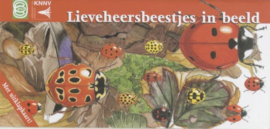 Lieveheersbeestjes in beeld, Ophalen of Verzenden, Nieuw, Natuur algemeen