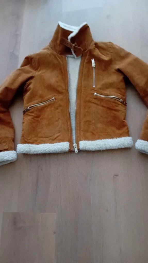 Jack Leren lama kort jasje Zara nieuw gevoerd maat S, Bruin, Nieuw, Ophalen of Verzenden, Jasje