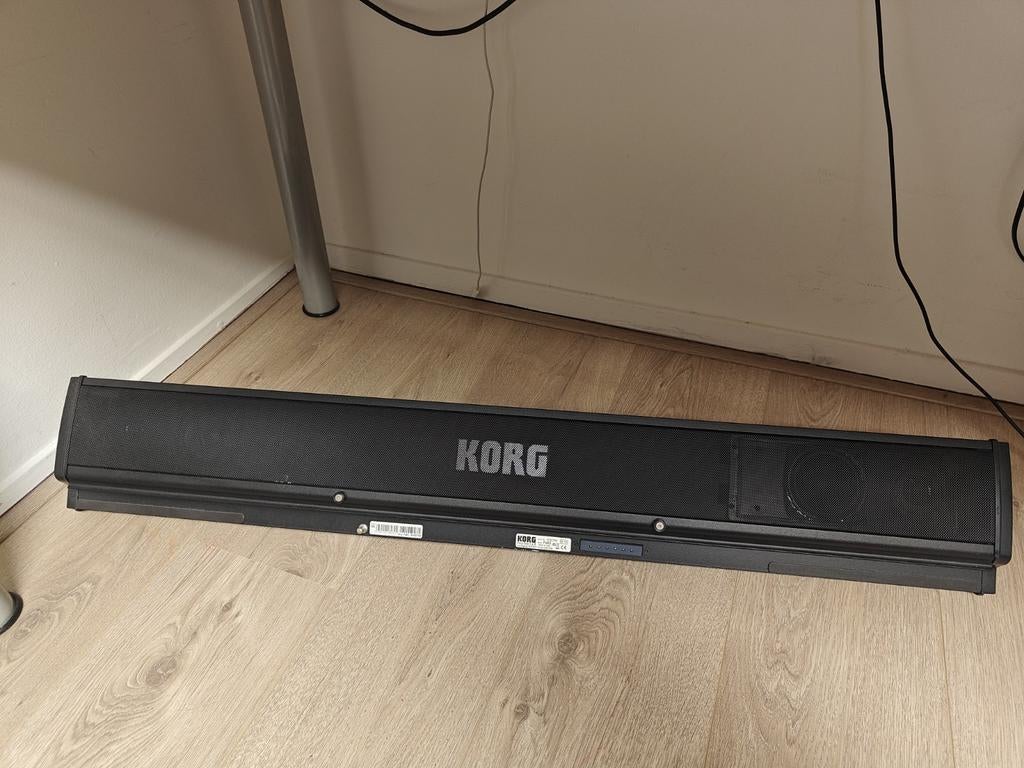 Korg PaAS luidspreker, Muziek en Instrumenten, Keyboards, Ophalen of Verzenden, Zo goed als nieuw, 61 toetsen, Korg