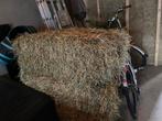 Groot pak hooi., Dieren en Toebehoren, Dierenvoeding, Ophalen of Verzenden, Vee
