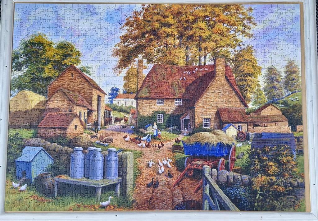 Falcon puzzel 1000stuks., Hobby en Vrije tijd, Denksport en Puzzels, Ophalen of Verzenden, Zo goed als nieuw