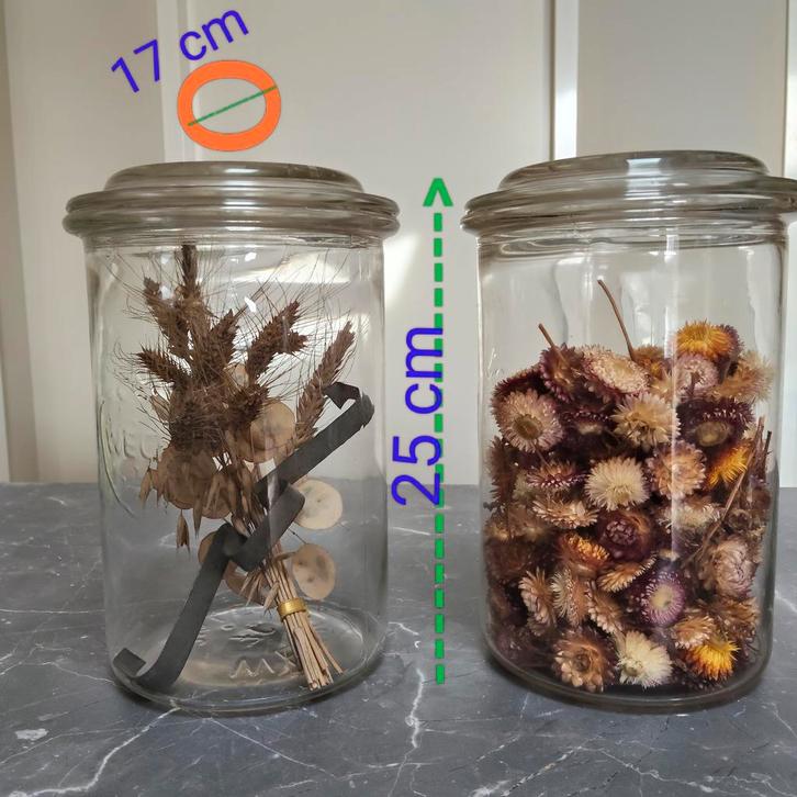 Weckpot ( per stuk ), Huis en Inrichting, Woonaccessoires | Stolpen, Gebruikt, Ophalen