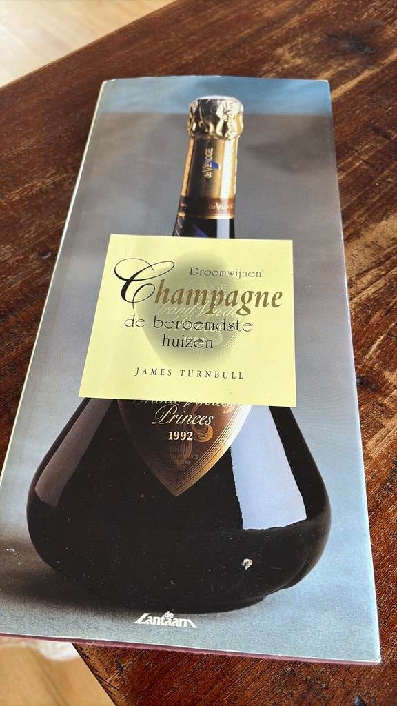 Boek over champagne, Verzamelen, Ophalen of Verzenden, Zo goed als nieuw, Frankrijk, Champagne