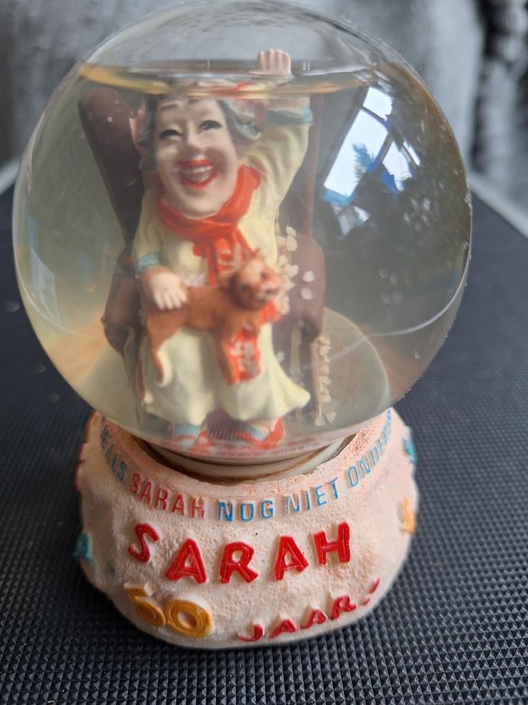 Sneeuwbol Sarah, Ophalen of Verzenden, Gebruikt, Mens