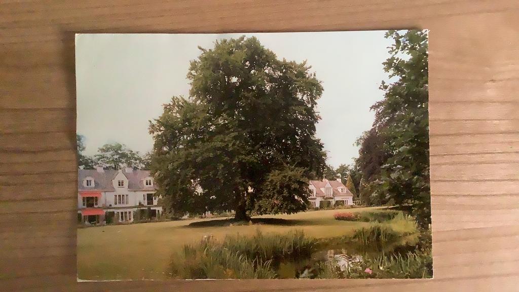 ansichtkaart Driebergen, Verzenden, Gelopen, Utrecht