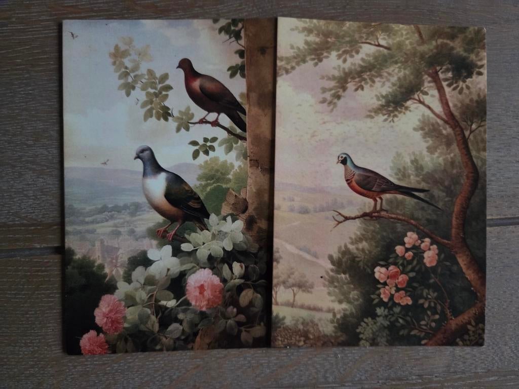 VOGELS 2, Ophalen, 1980 tot heden, Vogel