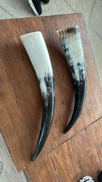 Hoorns 2 stuks, Ophalen of Verzenden, Zo goed als nieuw