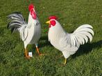 Haan /Hen / metaal / kippen / NIEUW, Tuin en Terras, Tuinbeelden, Dierenbeeld, Nieuw, Metaal, Info@huisentuindecoratiemarie.nl