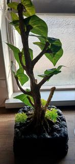 Dripper: Repto Water te koop,  zgan., Dieren en Toebehoren, Ophalen of Verzenden