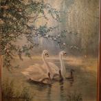 G. Neswadba zwanenschilderij 67x56 cm, Antiek en Kunst, Kunst | Schilderijen | Klassiek, Ophalen of Verzenden