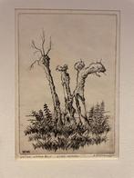 Echten, H. van - Zure regen(knotwilgen) ets droge naald 9/25, 25 cm, Gesigneerd, Ophalen of Verzenden, Flora en Fauna