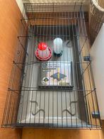 Kuikens opgroeien hok drinkbak eetbak warmteplaat, Dieren en Toebehoren, Ophalen, Zo goed als nieuw