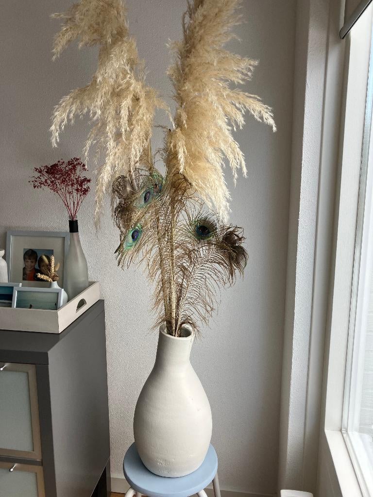 pampas pluimen grote en kleine mooi gedroogd, Verzenden