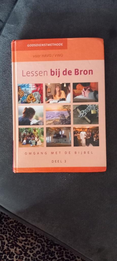 Lessen bij de Bron, Christendom | Protestants, Ophalen of Verzenden, Zo goed als nieuw, Drs L Snoek