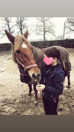 Stalhulp aangeboden, Ophalen of Verzenden, Zo goed als nieuw