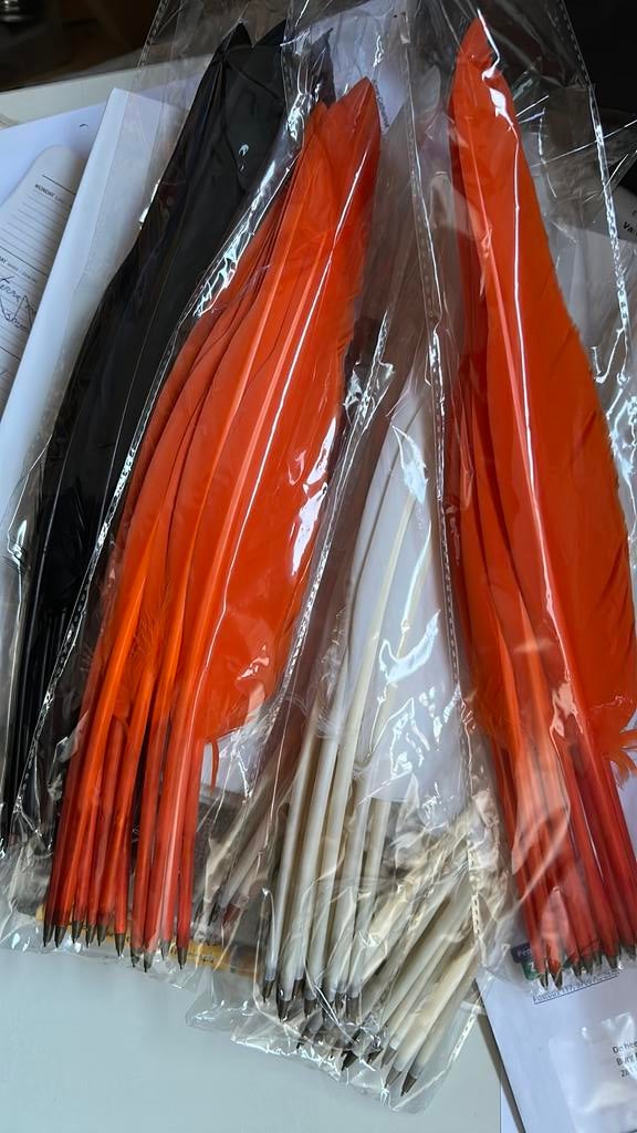 Oranje Koningsdag Veren pennen, Ophalen, Nieuw, Balpen, Overige merken