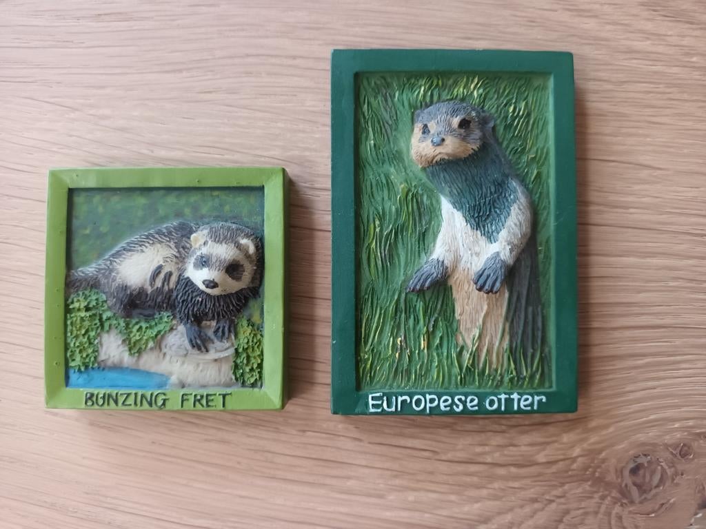 2 magneten bunzing fret en Europese otter 2x magneet 3D, Ophalen, Zo goed als nieuw