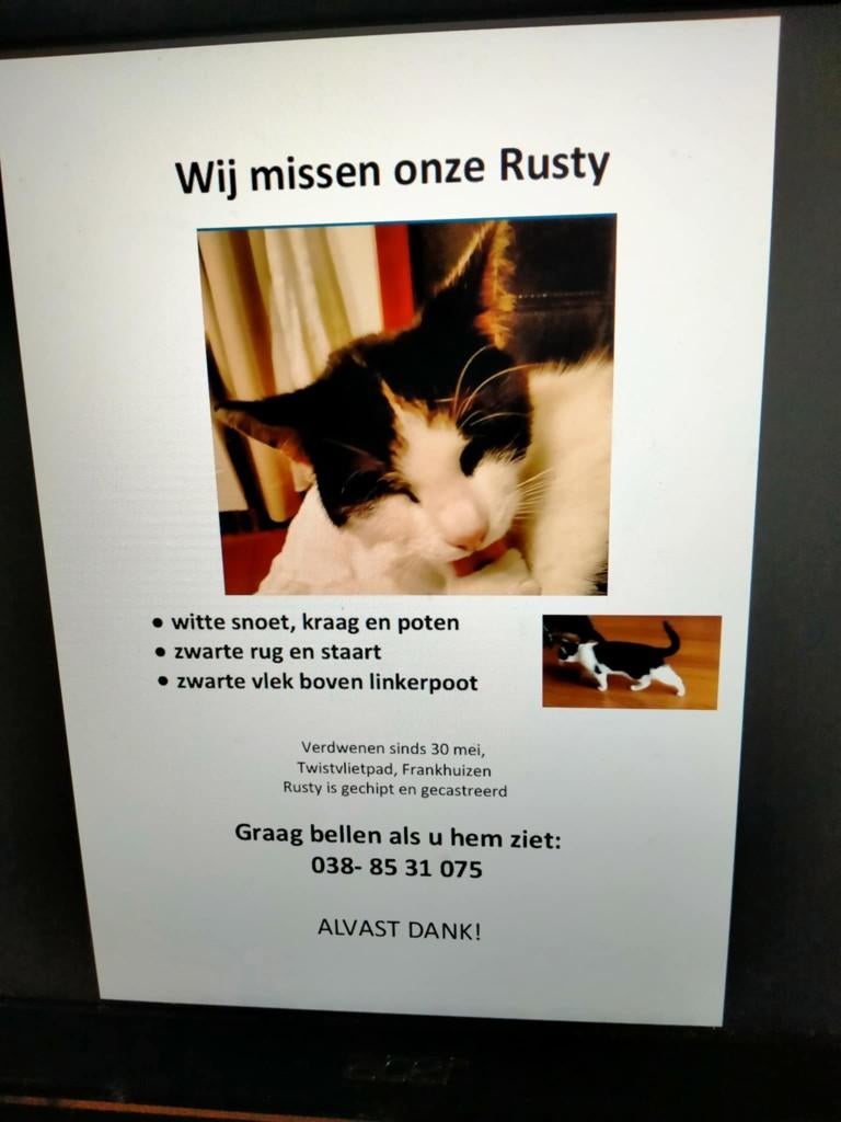 Vermist in Zwolle, Kat
