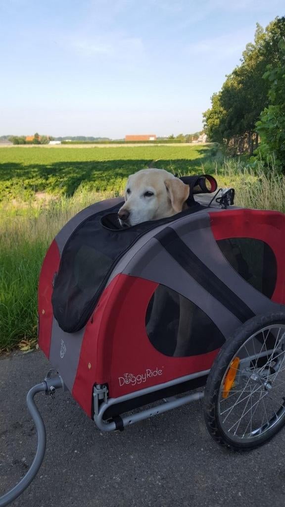 DoggyRide Original hondenfietskar., Dieren en Toebehoren, Honden-accessoires, Ophalen