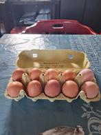 Broedeieren van bleu de landes, Geslacht onbekend, Kip