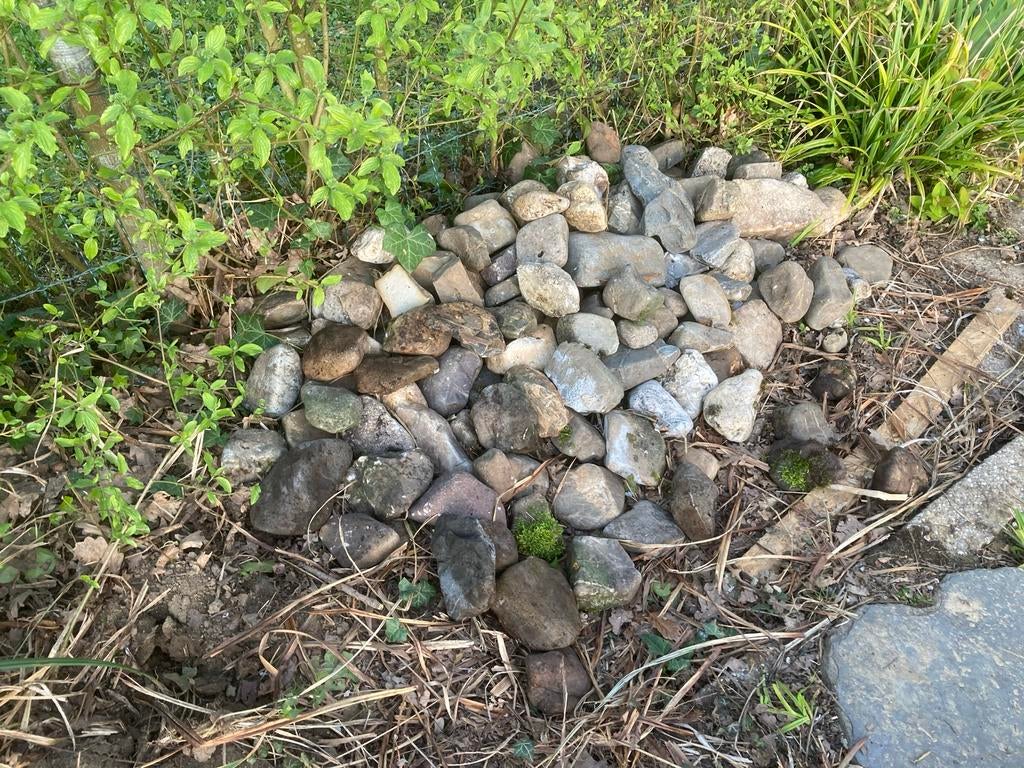 Partij maaskeien - gratis afhalen, Tuin en Terras, Ophalen, Overige materialen, Gebruikt, Kei