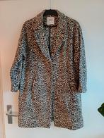 Jas / vest Zara, maat M, Ophalen of Verzenden, A, A, A