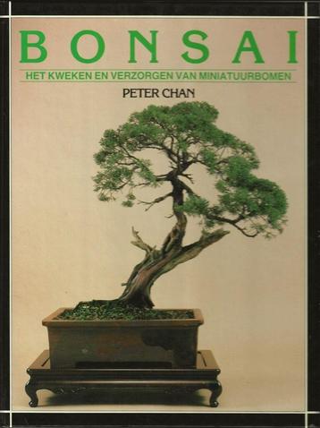 Bonsai – Peter Chan beschikbaar voor biedingen