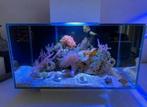 Fluval Edge 23L zeeaquarium, Dieren en Toebehoren, Vissen | Aquaria en Toebehoren, Ophalen, Leeg aquarium