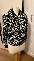 Marccain jasje n2, Ophalen of Verzenden, Nieuw