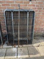 2x puppyren, Dieren en Toebehoren, Ophalen, Gebruikt