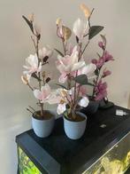 4x nep magnolia plantjes in pot, Huis en Inrichting, Woonaccessoires | Kunstplanten en Kunstbloemen, Ophalen, Gebruikt, Binnen