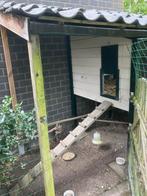 Kippen hok, Dieren en Toebehoren, Pluimvee | Toebehoren, Ophalen, Gebruikt, Kippenhok of Kippenren
