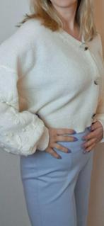 3x Trui nieuw 25 euro, Kleding | Dames, Ophalen, Nieuw, Maat 42/44 (L), Overige kleuren