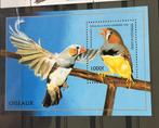 GUINEE 1996 vogels vink pf, Verzenden, Postfris, Dier of Natuur