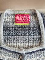 OLEANA noors vest maat 36-38, Kleding | Dames, Ophalen of Verzenden, Zo goed als nieuw, Maat 36 (S), Grijs