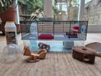 Hamsterkooi Ferplast, Dieren en Toebehoren, Knaagdieren en Konijnen | Hokken en Kooien, Kooi, Minder dan 75 cm, Hamster, Ophalen