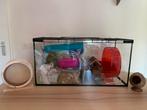 Terrarium, Dieren en Toebehoren, 75 tot 110 cm, Ophalen, Minder dan 60 cm, Hok
