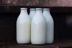 Rauwe melk per fles thuis afgeleverd, alleen in Stad!, Ophalen of Verzenden