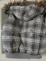 L'Argentina Bodywarmer Dames Maat L, Ophalen, Maat 42/44 (L), L'Argentina, Zo goed als nieuw