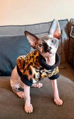 Handmade op maat gemaakt Kattenkleding Sphynx kat Rex Kitten, Ophalen of Verzenden, Nieuw