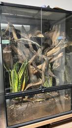 Exo terra terrium 90x45x60, Dieren en Toebehoren, Reptielen en Amfibieën | Toebehoren, Ophalen, Zo goed als nieuw, Terrarium of Paludarium