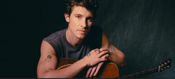 2x Shawn Mendes Tickets Zitplek Amsterdam - 20 Aug beschikbaar voor biedingen