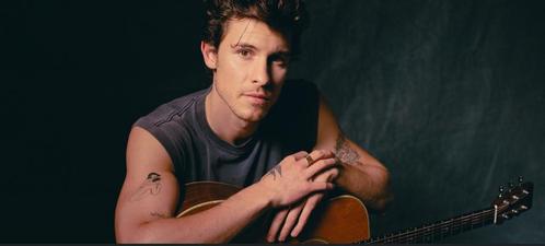 2x Shawn Mendes Tickets Zitplek Amsterdam - 20 Aug, Tickets en Kaartjes, Overige Tickets en Kaartjes, Twee personen